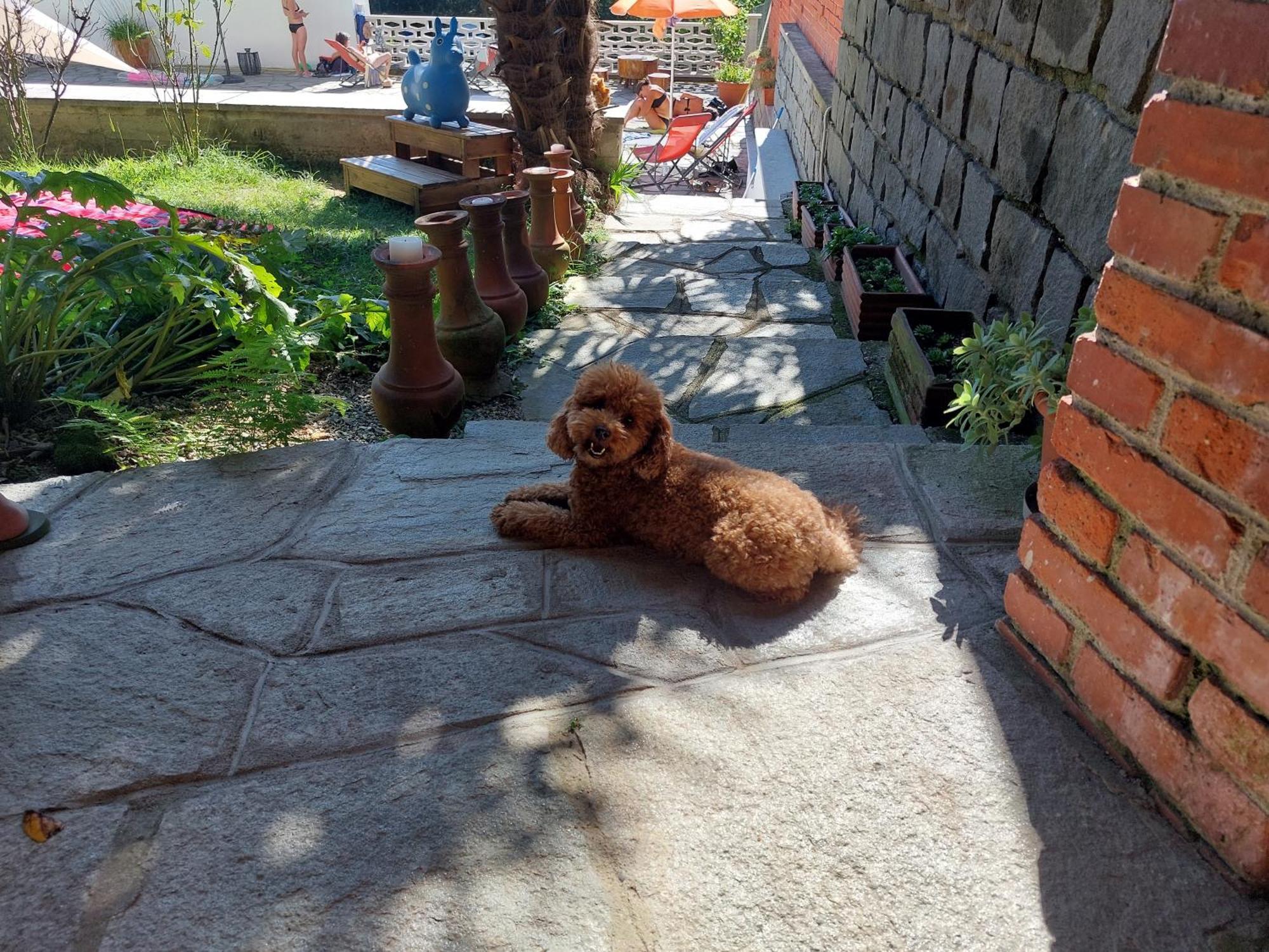 Casamargo Apartment Castellamonte ภายนอก รูปภาพ