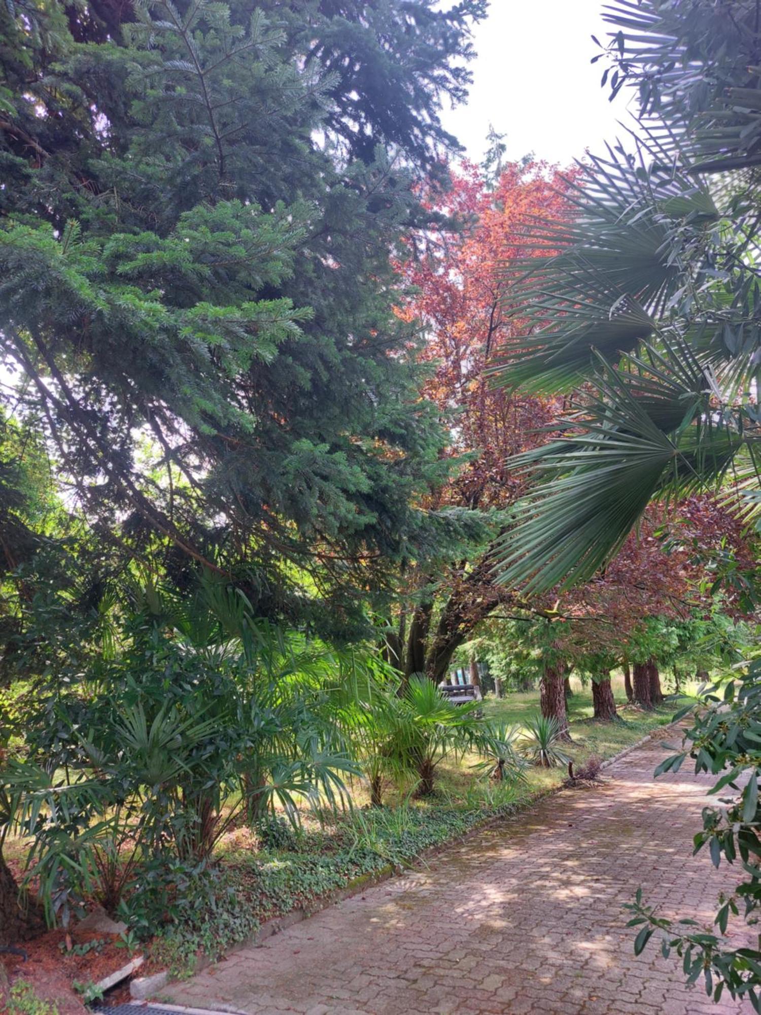 Casamargo Apartment Castellamonte ภายนอก รูปภาพ